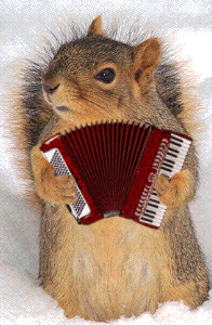 Animaux - Écureuil avec accordéon rouge