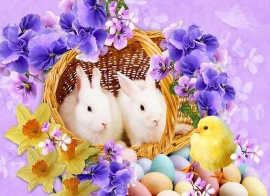 Pâques - Deux lapins dans panier, poussin, fleurs