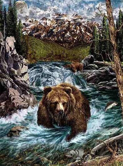 Animaux Ours - Dans l'eau