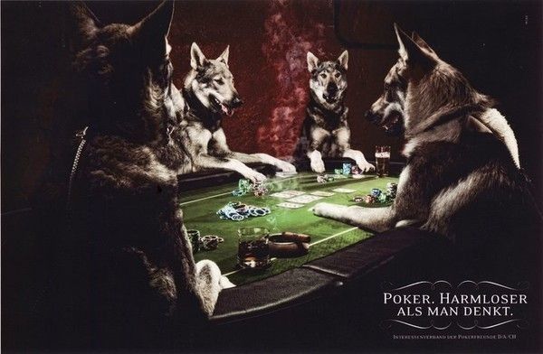 Jeu pour images - Loups au poker