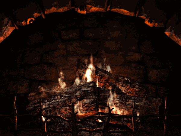 Feu de bois