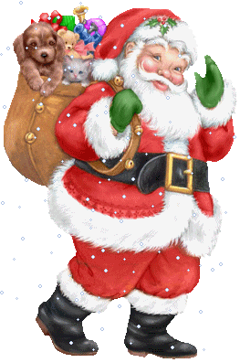 Joyeux Noël - Père Noël, sac cadeaux animaux de peluche