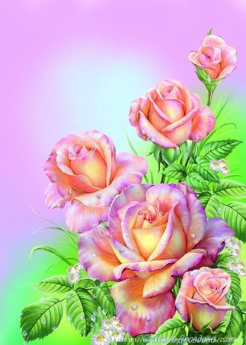 Fleurs - Très belles roses