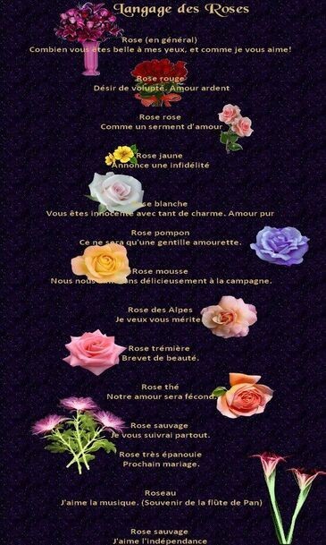 Fleurs Langage - Description langage des fleurs