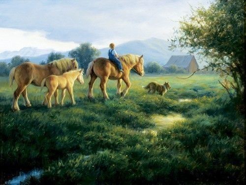 Animaux Cheval - Chevaux en campagne