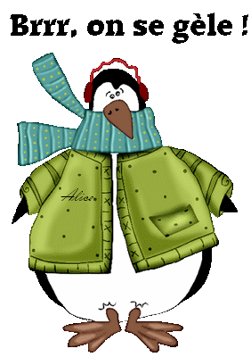 Saison Hiver - Pingouin, on gèle