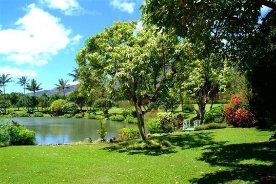 Pays Paysage - Hawaii, Île Maui