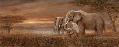 Bannière Blog - Éléphants