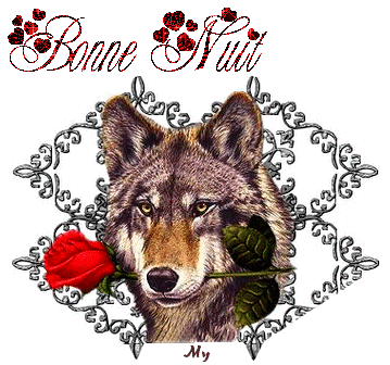 Bonne nuit - Loup à la rose rouge