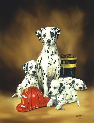 Animaux Chien - Race Dalmatiens, casque de pompier