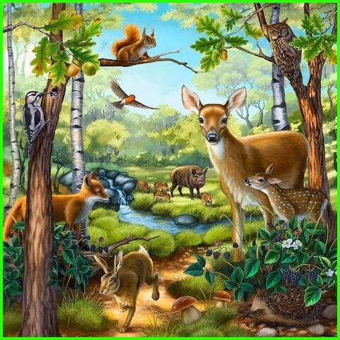 Animaux Faon Cervidés - Plusieurs animaux en forêt