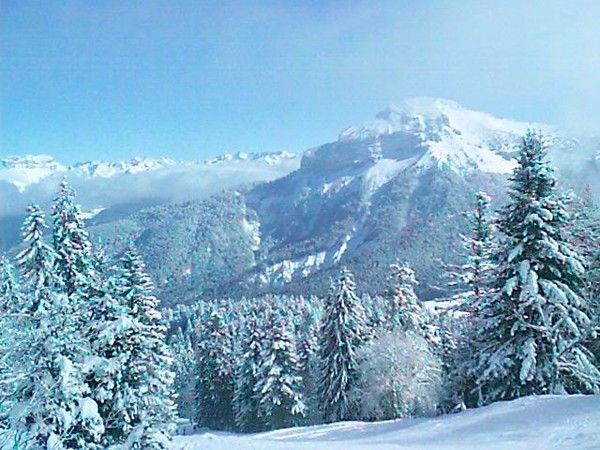 Site rencontres rhone alpes