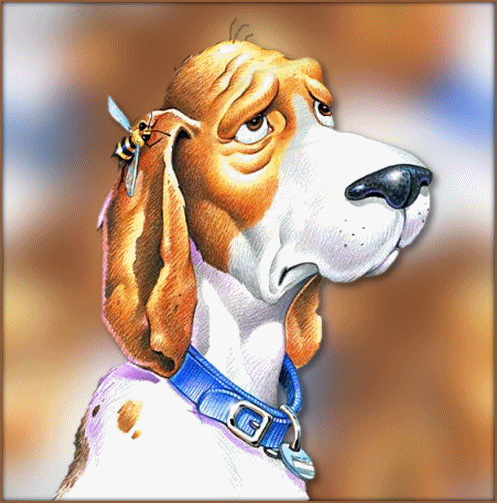 carte anniversaire femme virtuelle gratuite