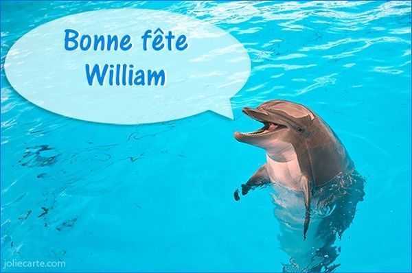 Fête Prénom W - Bonne Fête William, dauphin