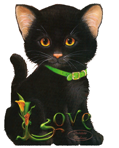 Animaux - Chat noir heureux