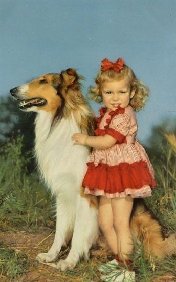 Enfant Fillette - Et son chien Colley majestueux