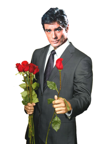 Homme - Des roses pour vous