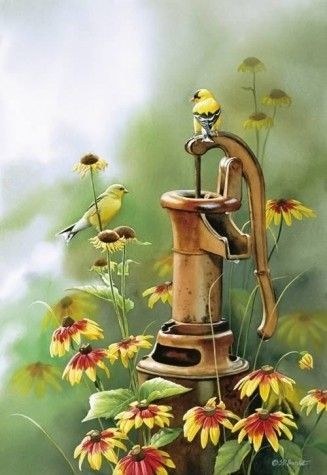 Animaux Oiseaux - Oiseaux de l'ancienne pompe à eau