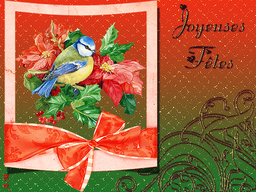 Joyeux Noël, Bonne Année - Oiseau, poinsettia rouge