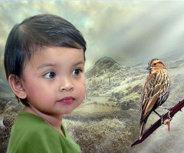 Enfant Garçonnet - Garçon et l'oiseau