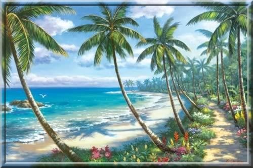 Paysage - Chemin palmiers de la mer