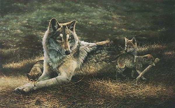 Animaux Loups - Louve et Louveteaux