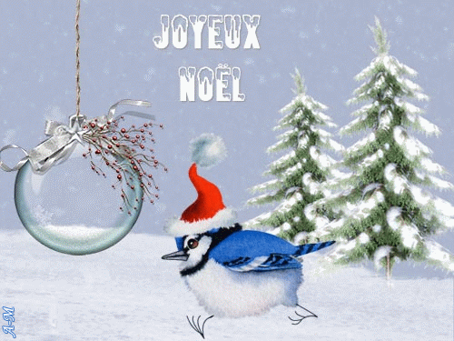 Joyeux Noël - Oiseau bleu, tuque rouge