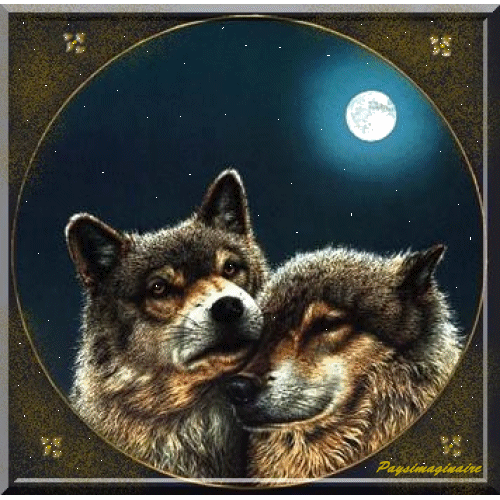 8101 animaux loups unis sous la pleine lune
