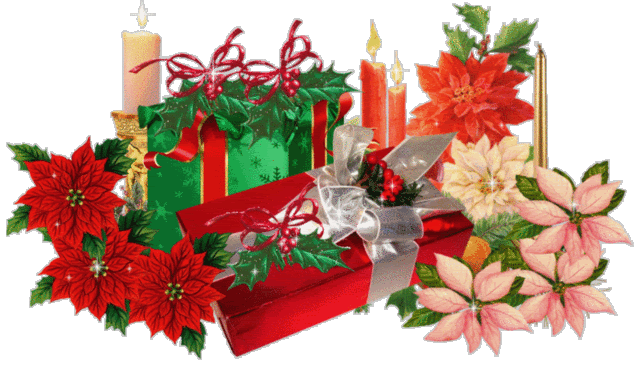Noël Cadeaux - Bougies, poinsettia ou étoile de Noël