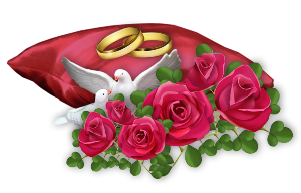 Mariage - Alliance sur coussin et roses rouges