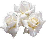 Avatar Roses blanches