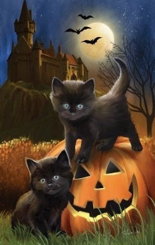 Halloween - Chatons noirs et château