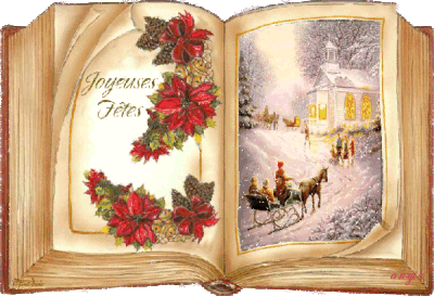 Joyeuses Fêtes - Livre de Noël