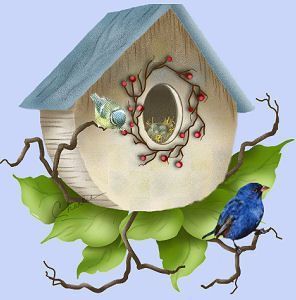 Animaux Oiseaux - Cabane nid des oisillons