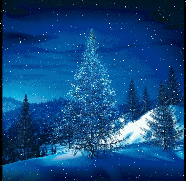 Arrière plan des Fêtes - Sapin bleu
