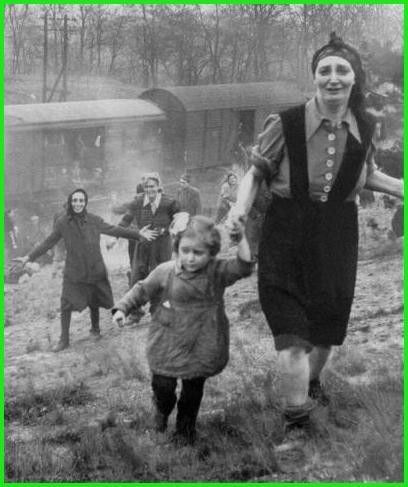 Documentaire - Arrivée et Libération du train avril 1945