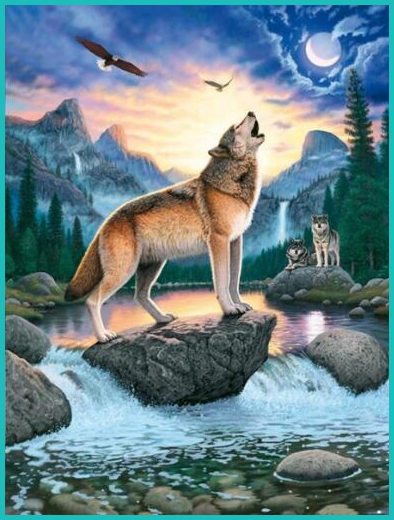 Animaux Loups - Paysage loup hurle sur la roche