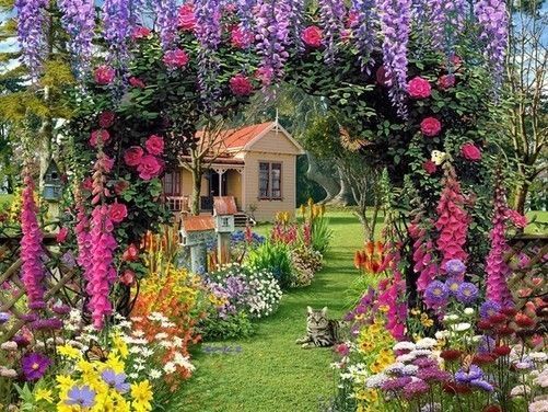 Nature Fleurs - Jardin de fleurs