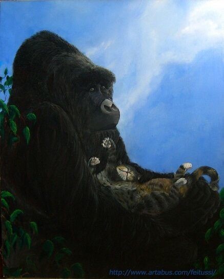 Animaux Singe - Gorille et son chat