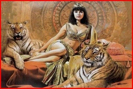 Animaux Tigre - Princesse d'Égypte