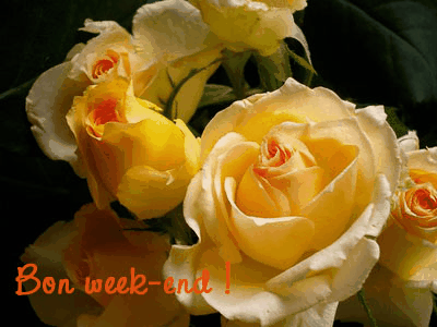 Bon Week-end - Roses jaunes