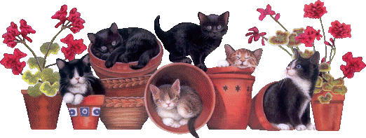 Animaux Chats des vases