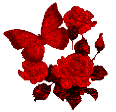 Papillon rouge, roses