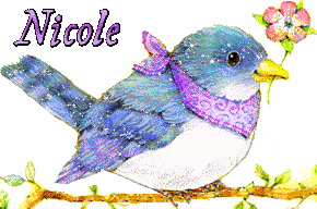 Prénom Nicole - Oiseau scintillant
