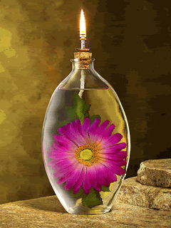 Lumière - Lampe à l'huile fleur