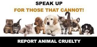 Animaux - Dénoncer la cruauté des animaux
