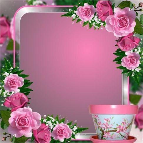 Fond pour image - Roses rose et tasse