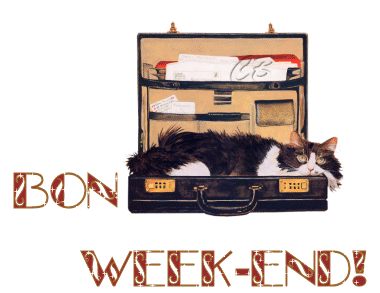 Bon Week-End - Valise Chat