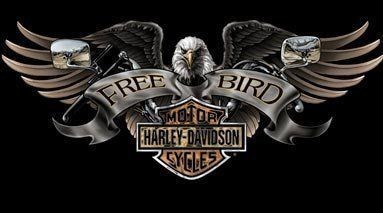 Motards - Aigle Free Bird - Motor Harley-Davidson Cycles