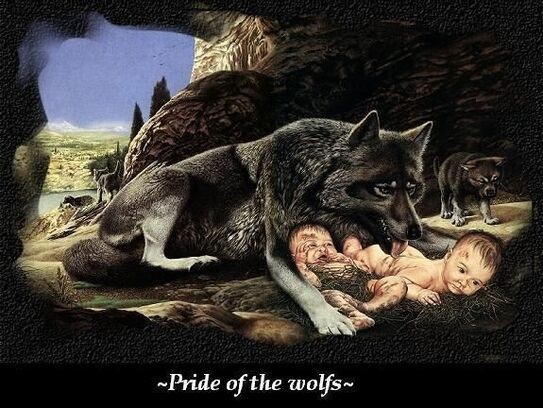 Animaux Loups - Fierté des Loups Pride of the Wolfs